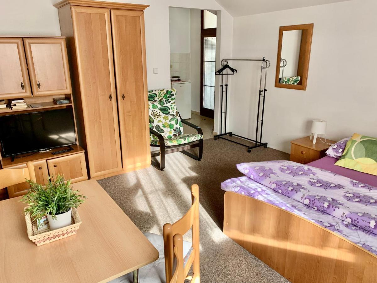 Pension Lenka 1 Harrachov Buitenkant foto