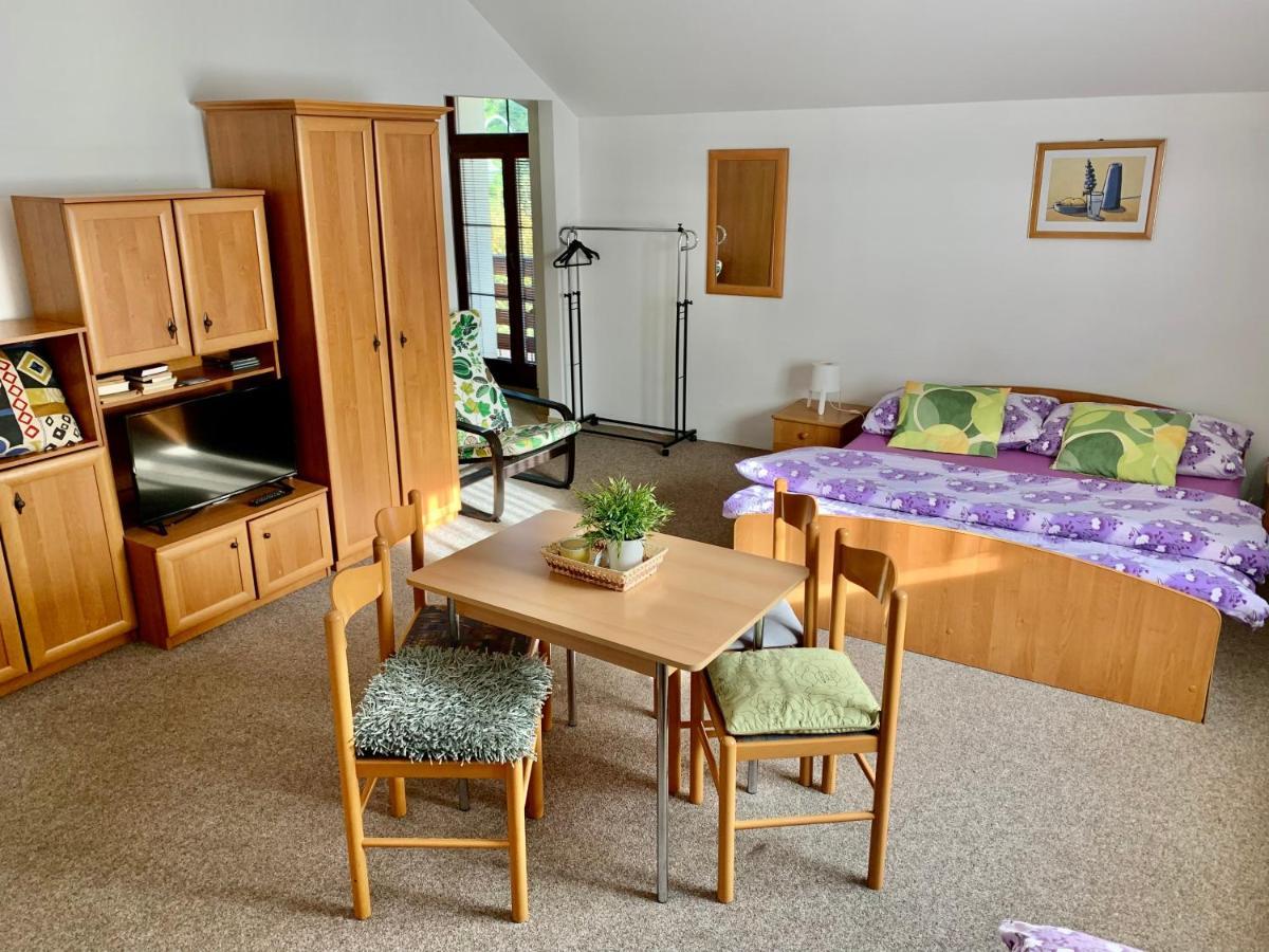 Pension Lenka 1 Harrachov Buitenkant foto