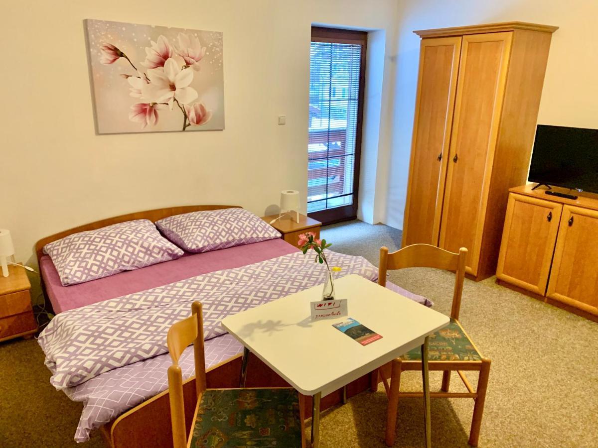 Pension Lenka 1 Harrachov Buitenkant foto